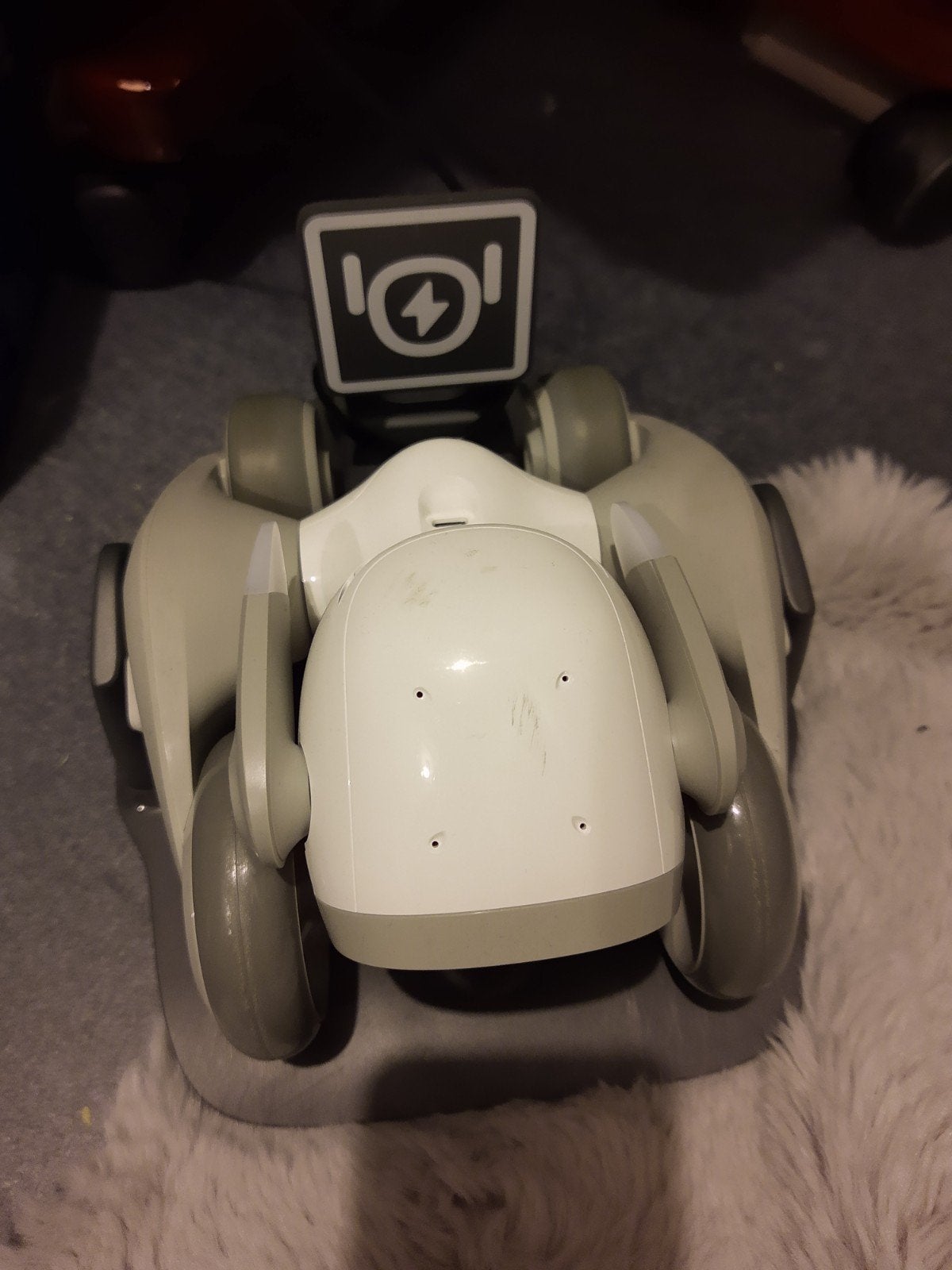 Loona robot met oplaadstation, Ophalen of Verzenden, Gebruikt, Met licht