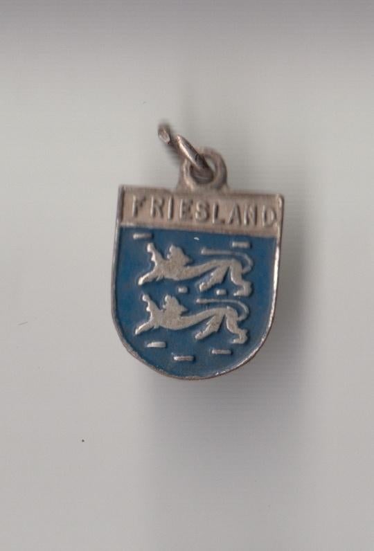 Friesland Provincie wapen bedel, Verzamelen, Speldjes, Pins en Buttons, Gebruikt, Niet vindbaar, Niet vindbaar, Speldje of Pin