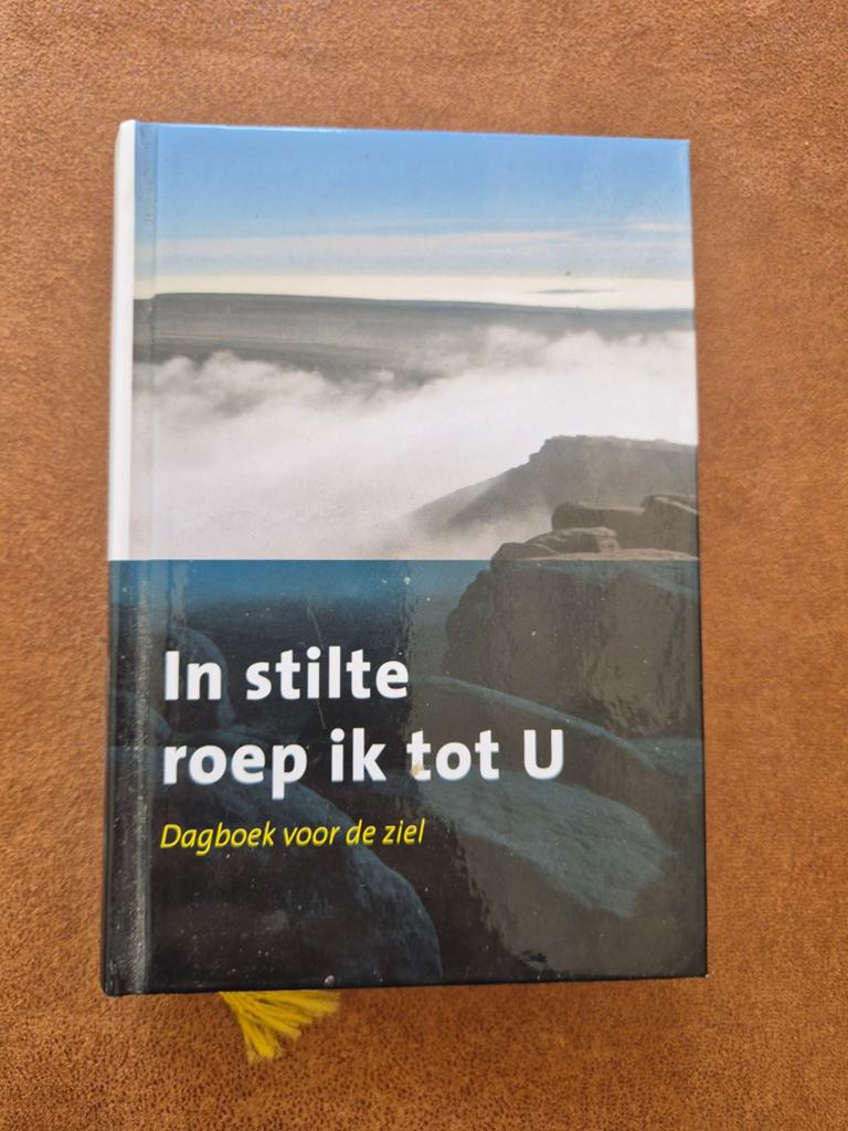 In stilte roep ik tot U - Mystiek dagboek, Boeken, Gelezen, Diverse auteurs, Ophalen of Verzenden, Christendom | Katholiek