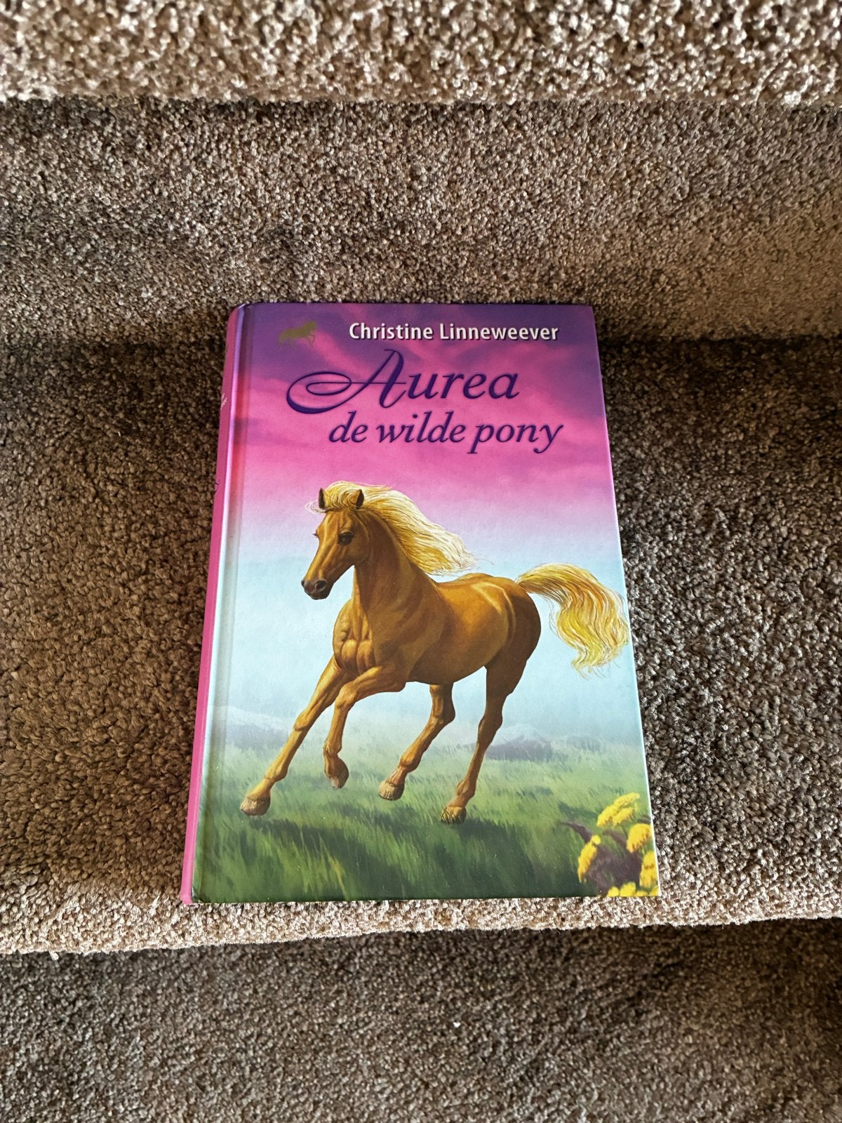 Aurea de wilde pony - Christine Linneweever, Ophalen, Zo goed als nieuw, Fictie algemeen