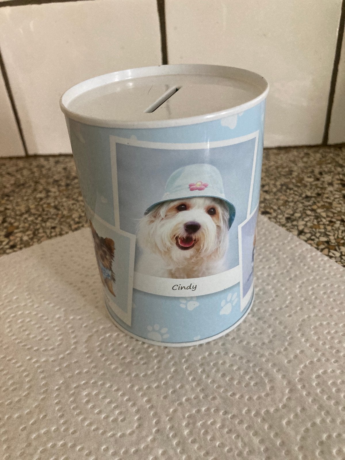 Leuke spaarpot hond, Ophalen of Verzenden, Zo goed als nieuw, Metaal of Blik, Dier