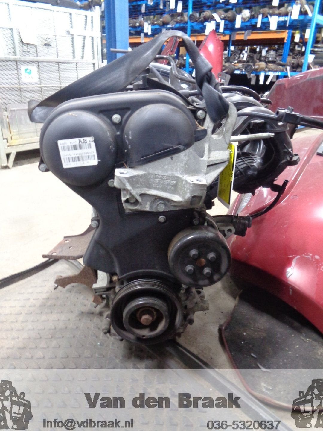 Ford Fiesta 1.25 16V 2008-2012 Motorblok (STJA), Gebruikt, -, Herkomst onderdeel bekend, -