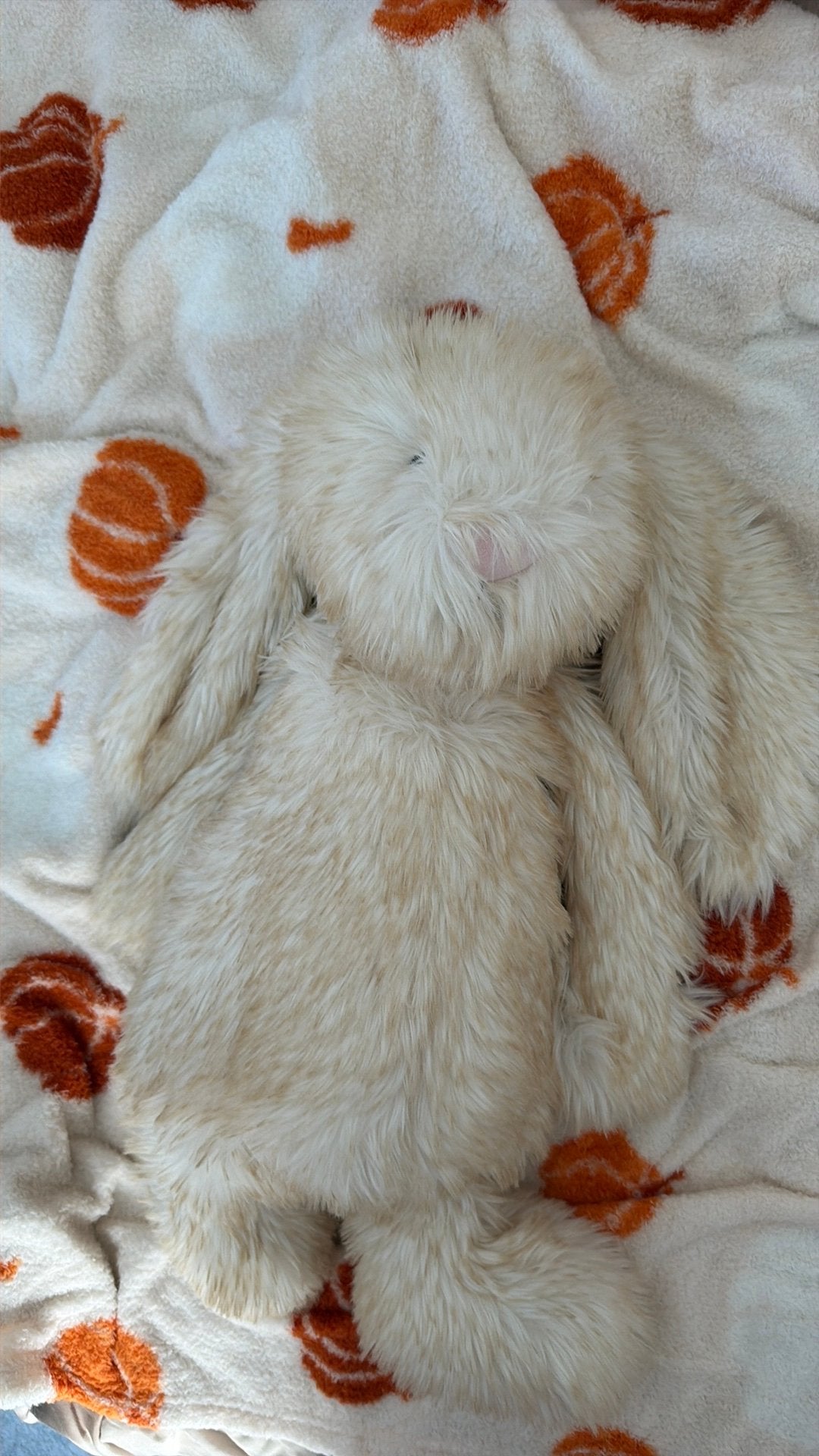 Jellycat Springlowe, Overige karakters, Ophalen of Verzenden, Middelgroot (20 tot 80 cm), Beige