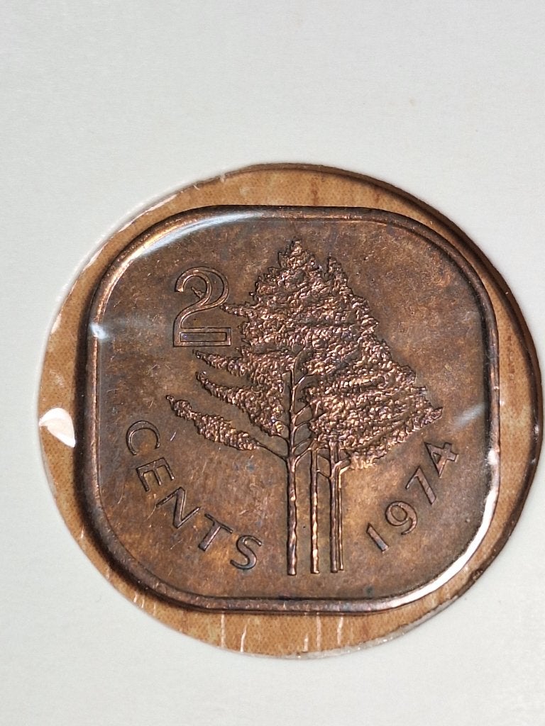 SWAZILAND 1 cent 1974 (#186), Postzegels en Munten, Ophalen of Verzenden, Overige landen, Losse munt
