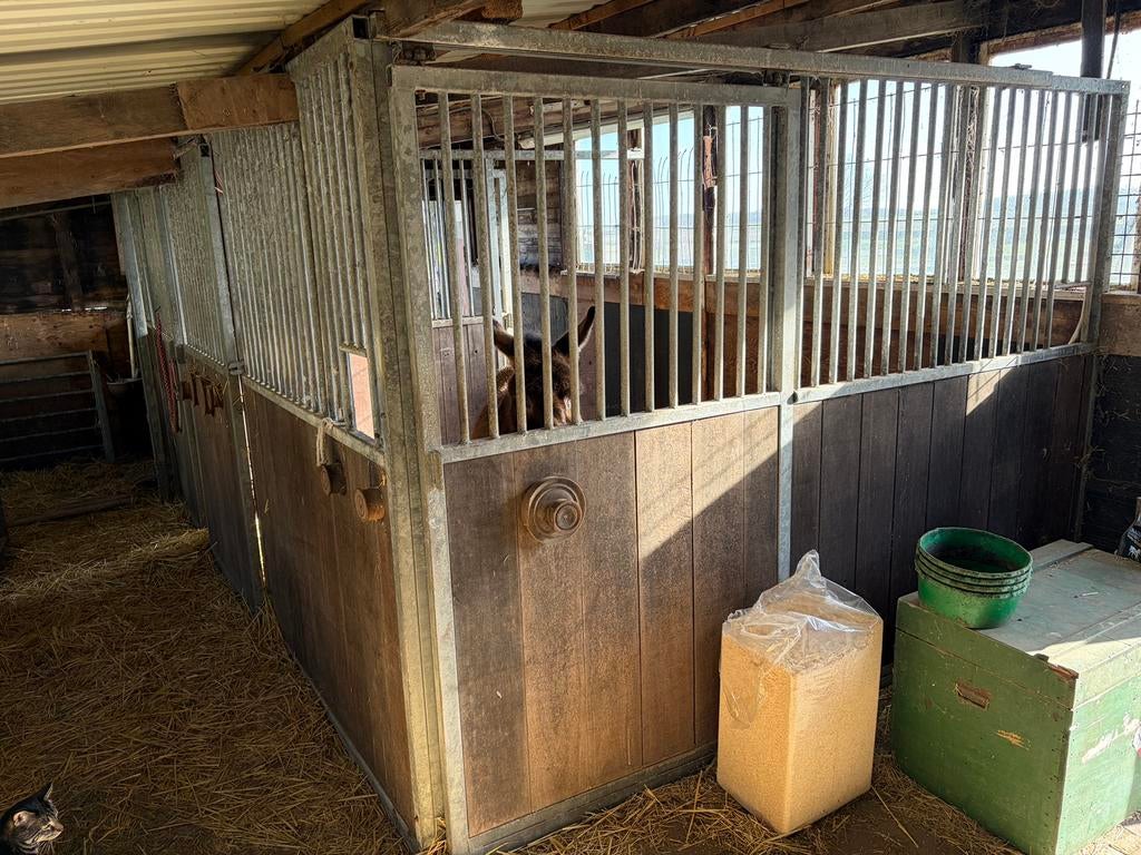 Stal wanden, Dieren en Toebehoren, Stalling, 2 of 3 paarden of pony's