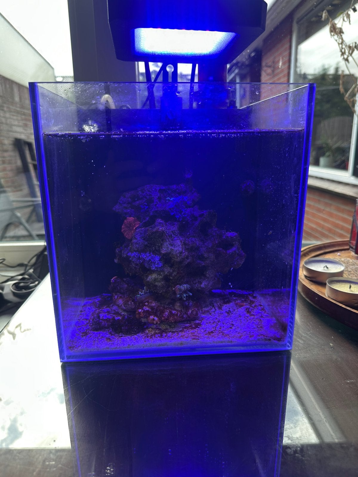 Complete Nano Reef Zoutwater Aquarium 25L, Ophalen, Zo goed als nieuw, Leeg aquarium