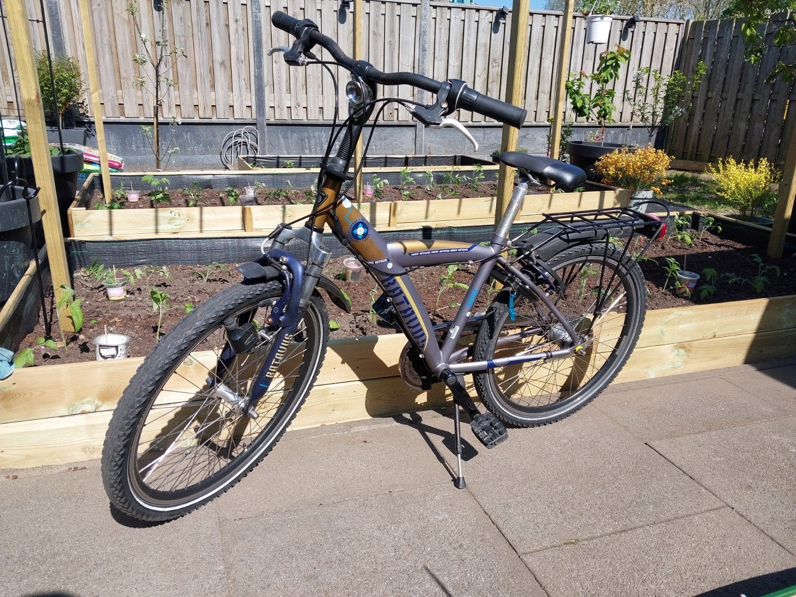 Batavus Snake 24 inch, Ophalen, Terugtraprem, 24 inch, Versnellingen