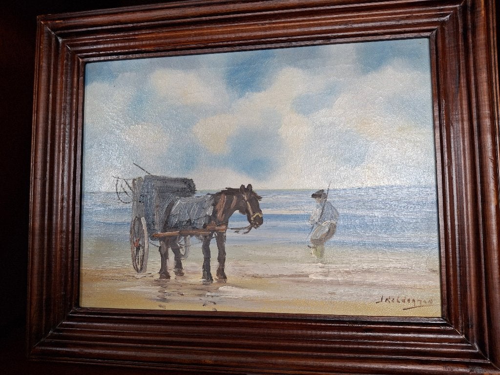 schelpenvisser, Ophalen of Verzenden, Gebruikt