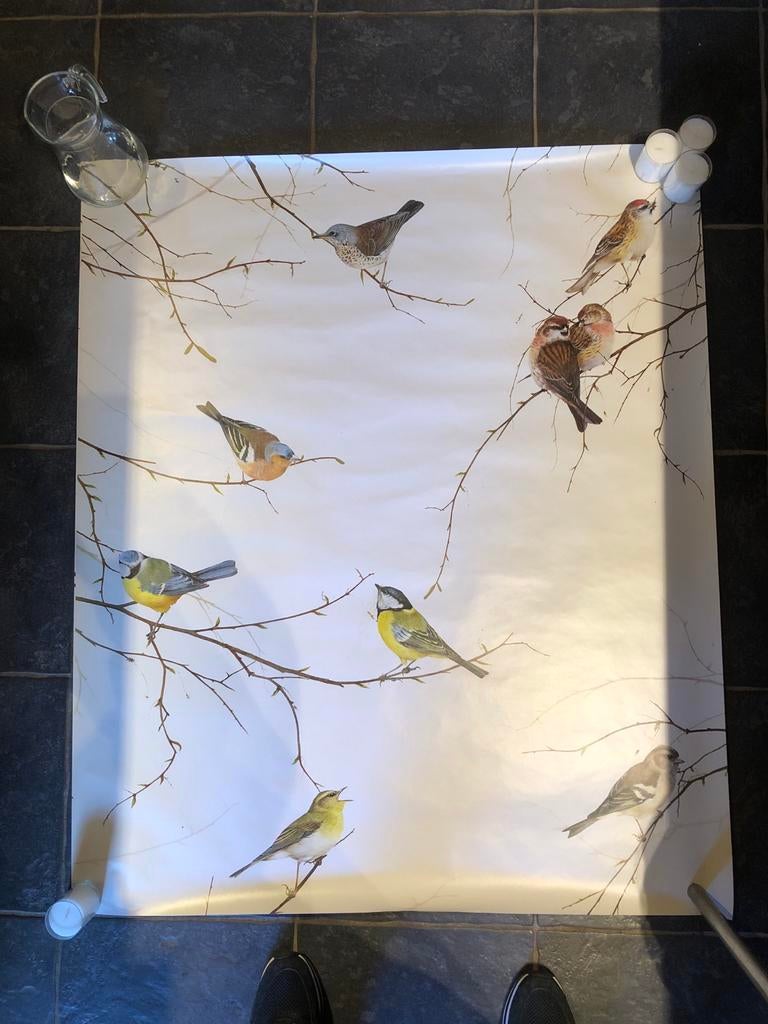 Deurposter met vogels en takken, Rechthoekig Staand, Deurposter of groter, Nieuw, Ophalen of Verzenden