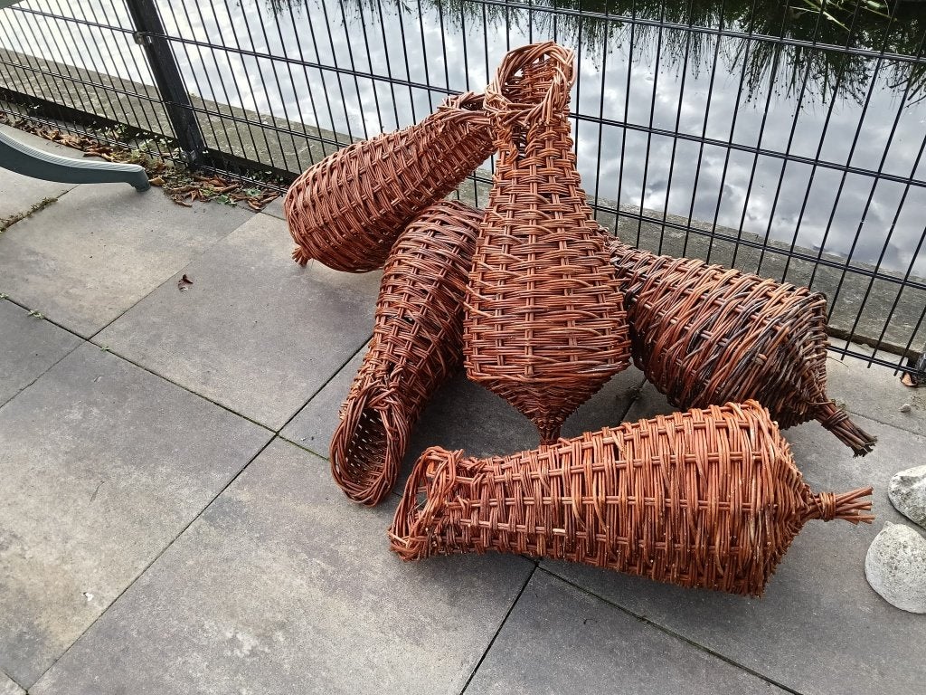 Eenden broedkorf (wilgen), Meerdere dieren, Eend