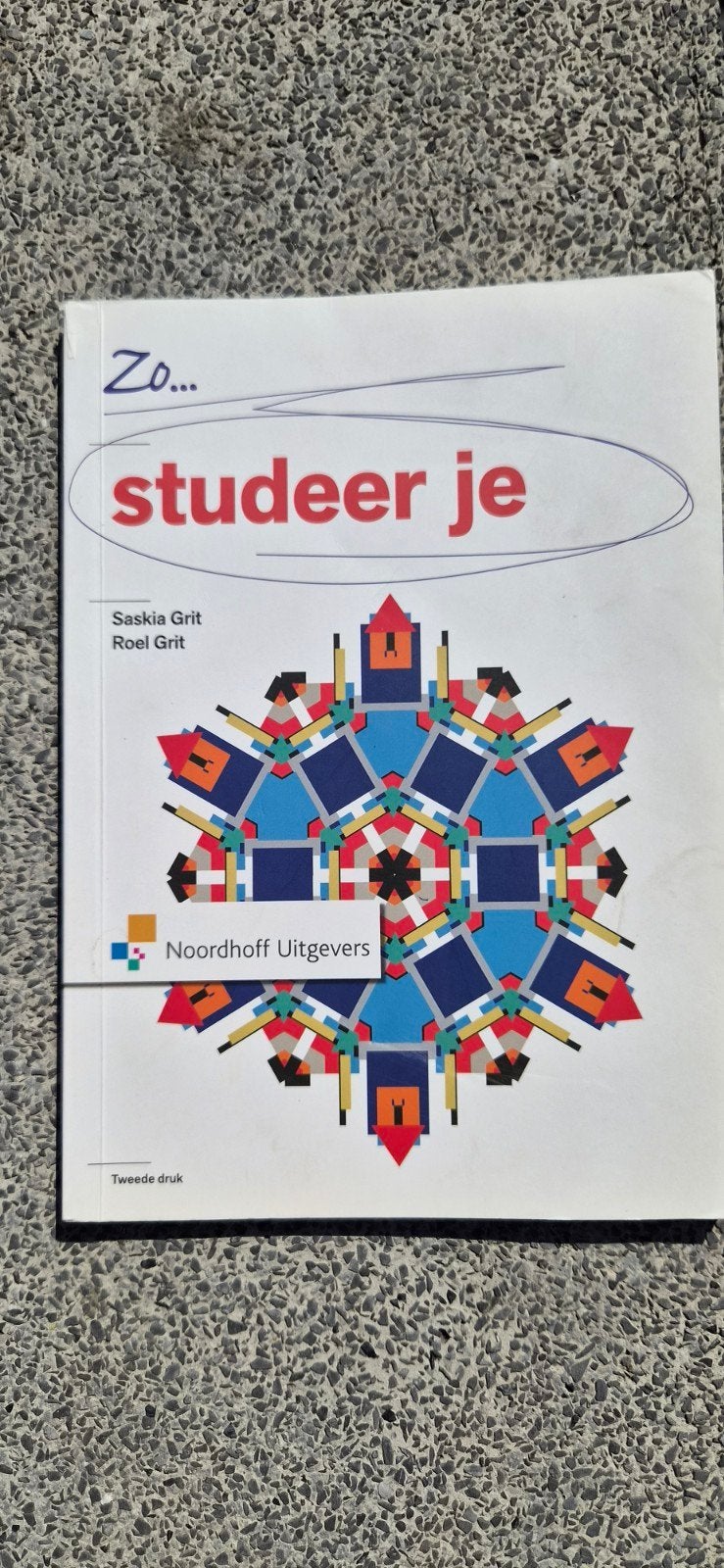 Zo... studeer je - Saskia Grit & Roel Grit, Ophalen of Verzenden, Zo goed als nieuw, LBO, Saskia Grit, Roel Grit