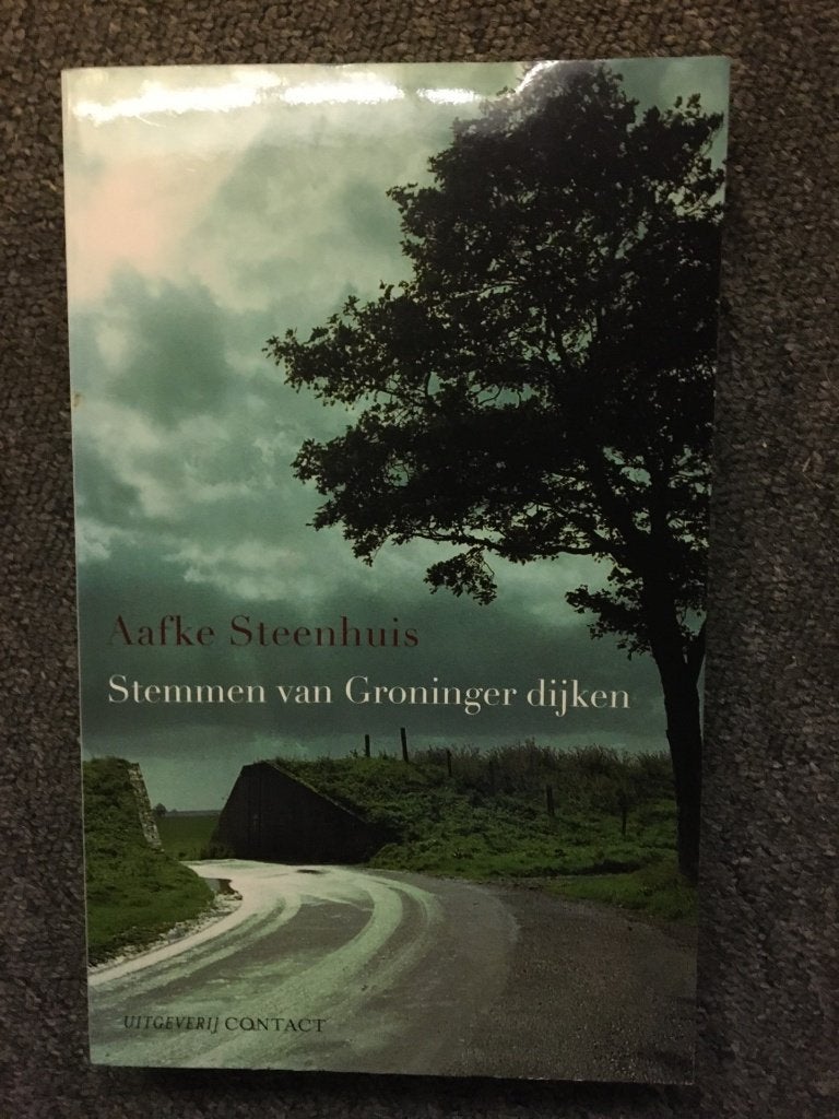 Stemmen van Groningen Dijken; Aafke Steenhuis #Groningen, 20e eeuw of later, Ophalen of Verzenden, Zo goed als nieuw, Aafke Steenhuis