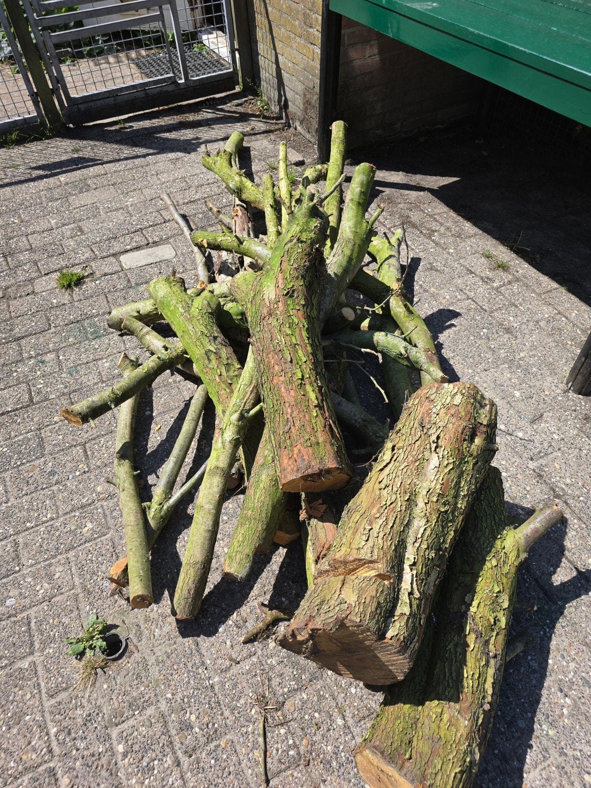 van voorjaar  gezaagd hout, droog onder afdak gelegen, Tuin en Terras, Haardhout, Minder dan 3 m³, Ophalen, Overige houtsoorten