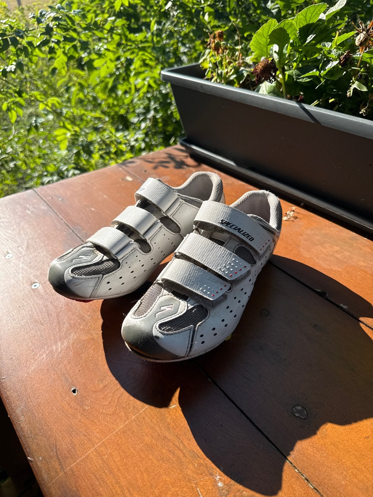 Specialized fietsschoenen - Maat 40, Ophalen of Verzenden, Gebruikt, Kleding