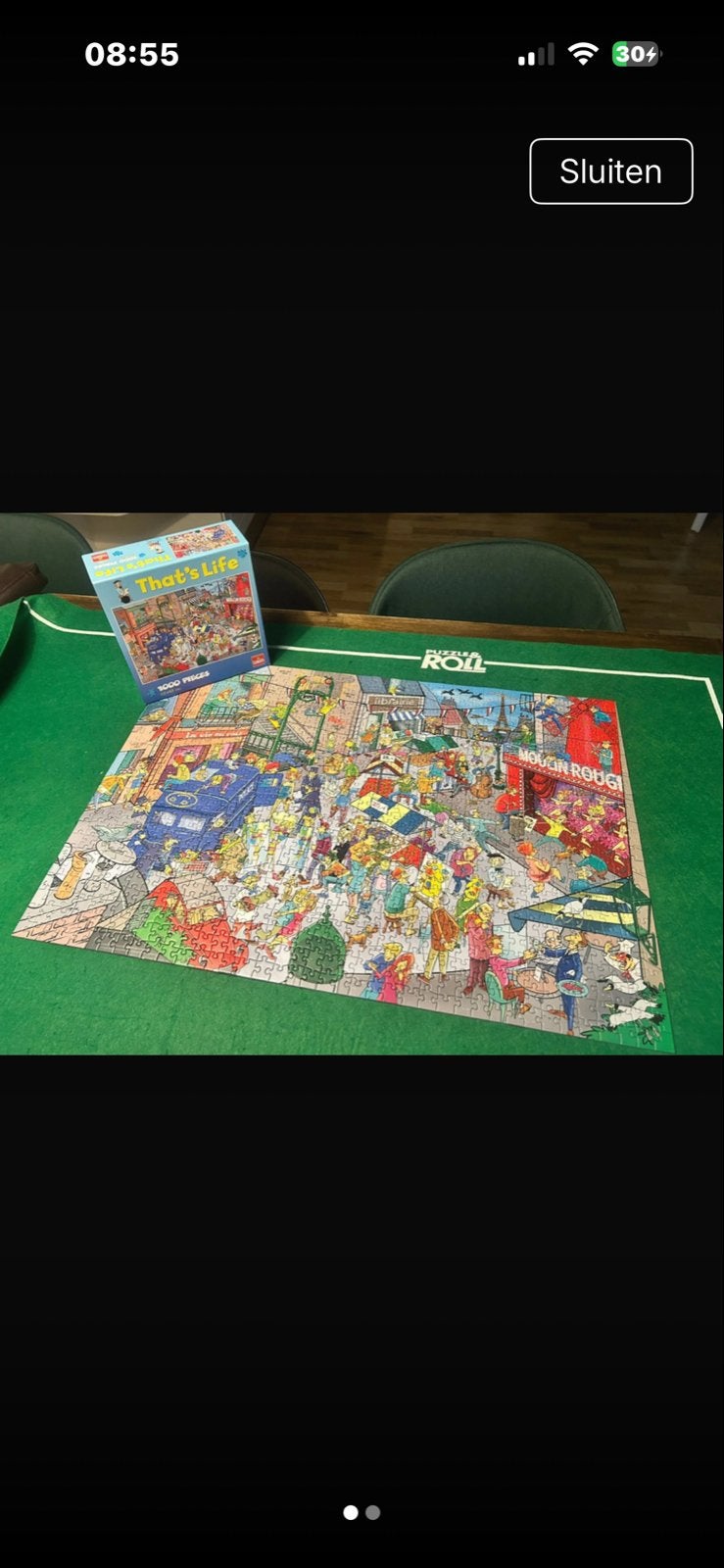 That's Life - 1000 stukjes, Ophalen of Verzenden, 500 t/m 1500 stukjes, Zo goed als nieuw, Legpuzzel