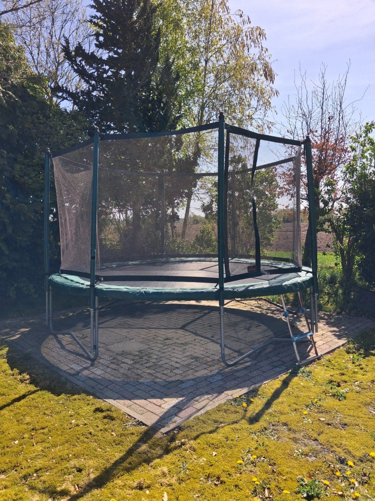 Avyna trampoline met veiligheidsnet 430, Ophalen, Gebruikt