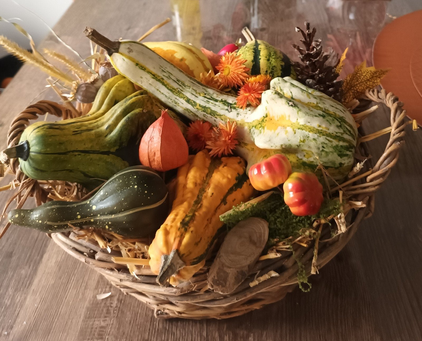 Herfstmandje., Ophalen, Halfschaduw, Minder dan 100 cm