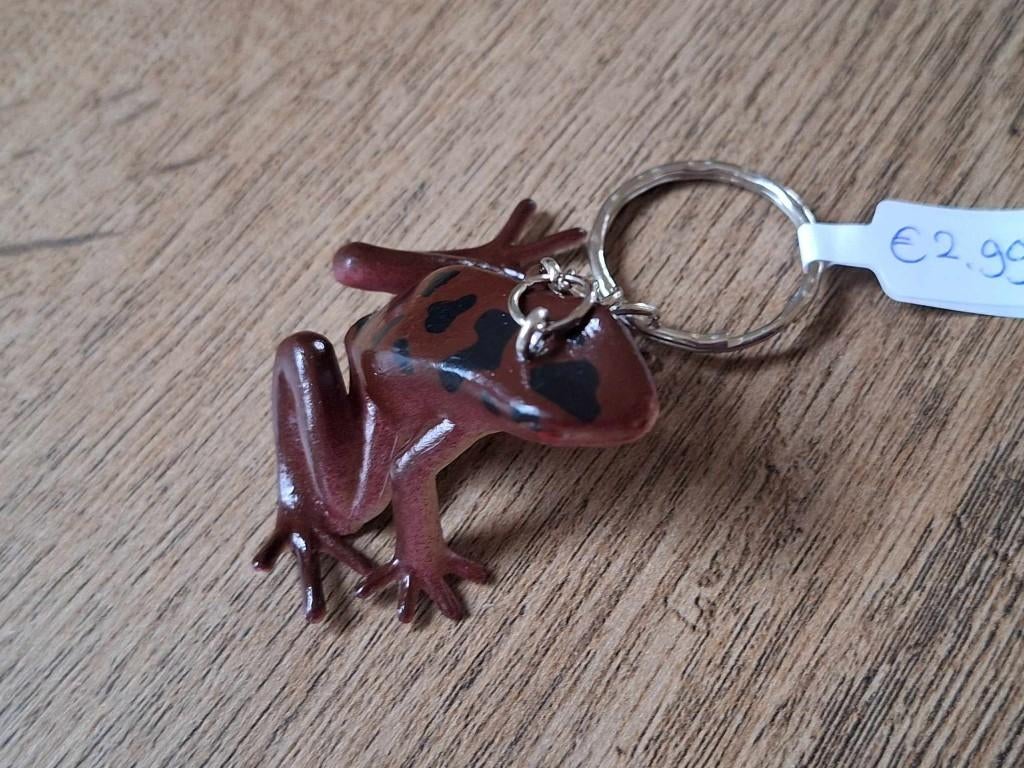 Sleutelhanger : Kikker !! 2, Info@keycharms.nl, Dier of Natuur, Nieuw, Medemblik