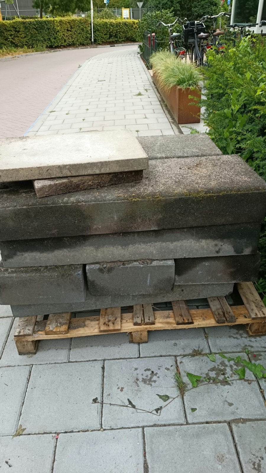 9 stevige borders gratis op te halen, Ophalen of Verzenden, Gebruikt, Minder dan 100 cm