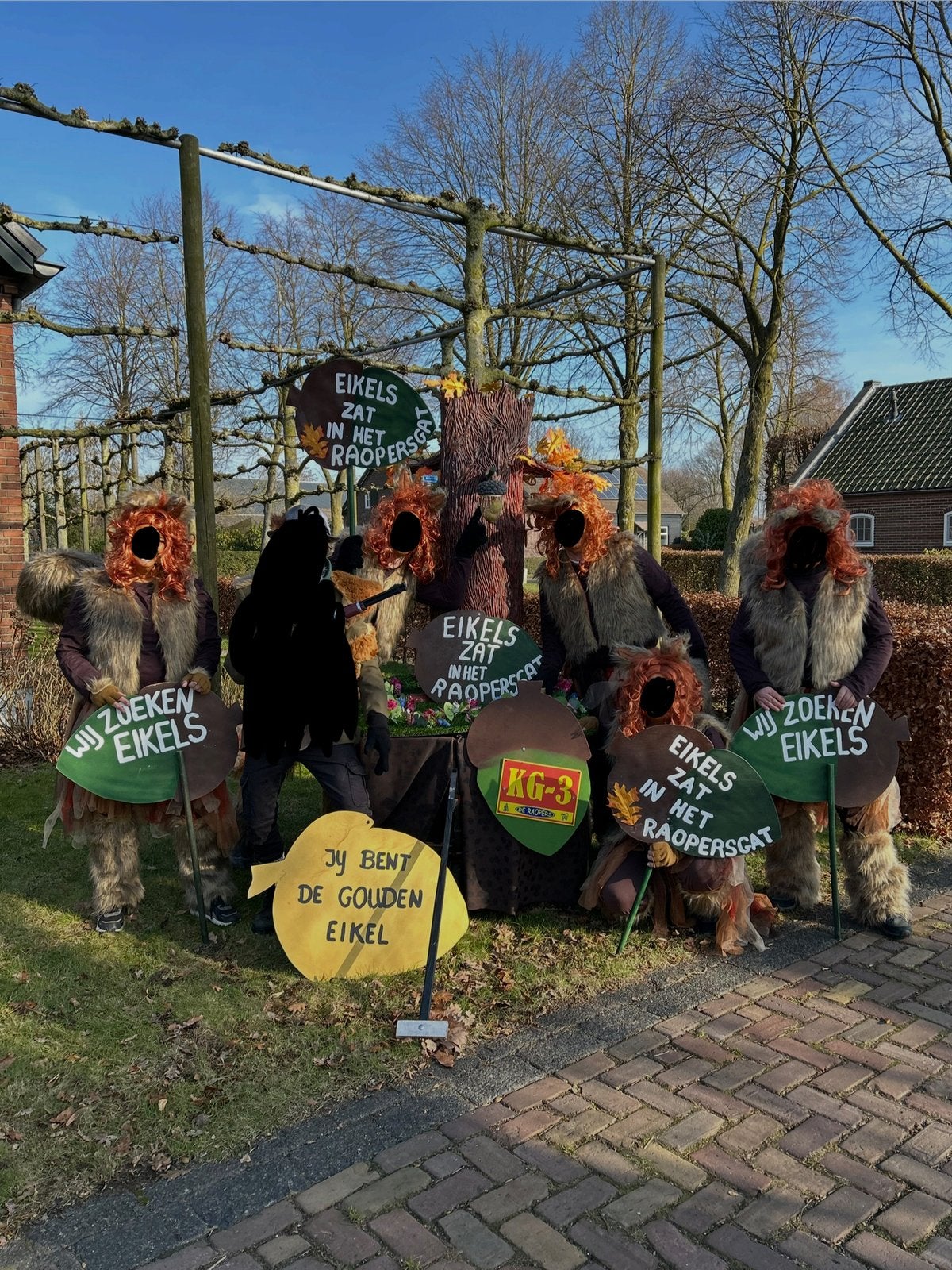 Carnaval loopgroep, Ophalen, Zo goed als nieuw, Carnaval