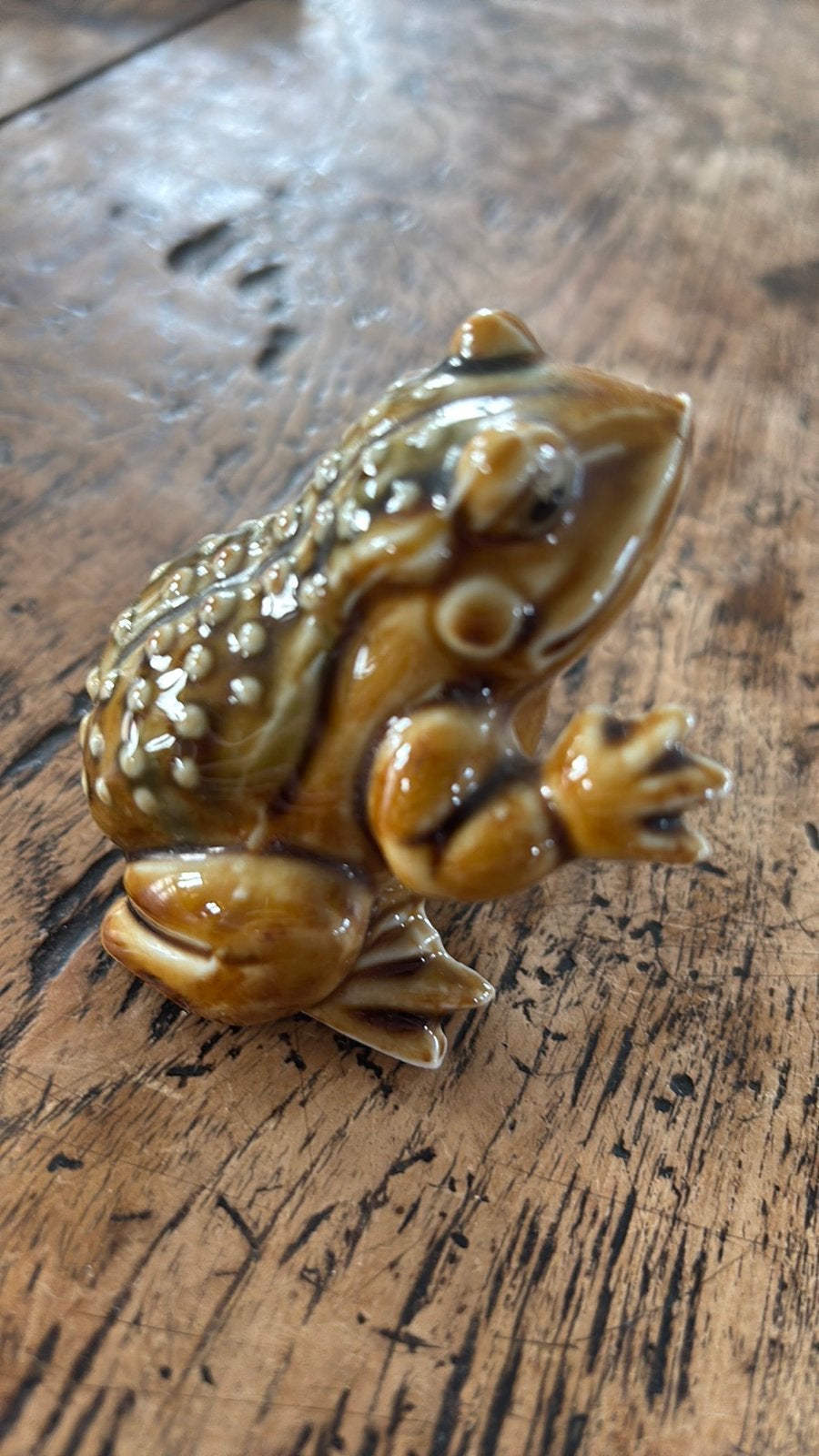 Kikker foreign porcelein, Ophalen of Verzenden, Zo goed als nieuw, Dier