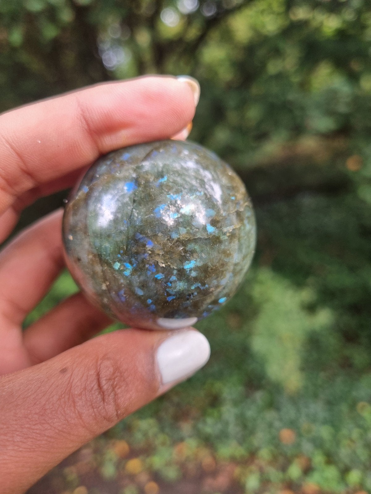 labradoriet bol, Verzamelen, Ophalen of Verzenden