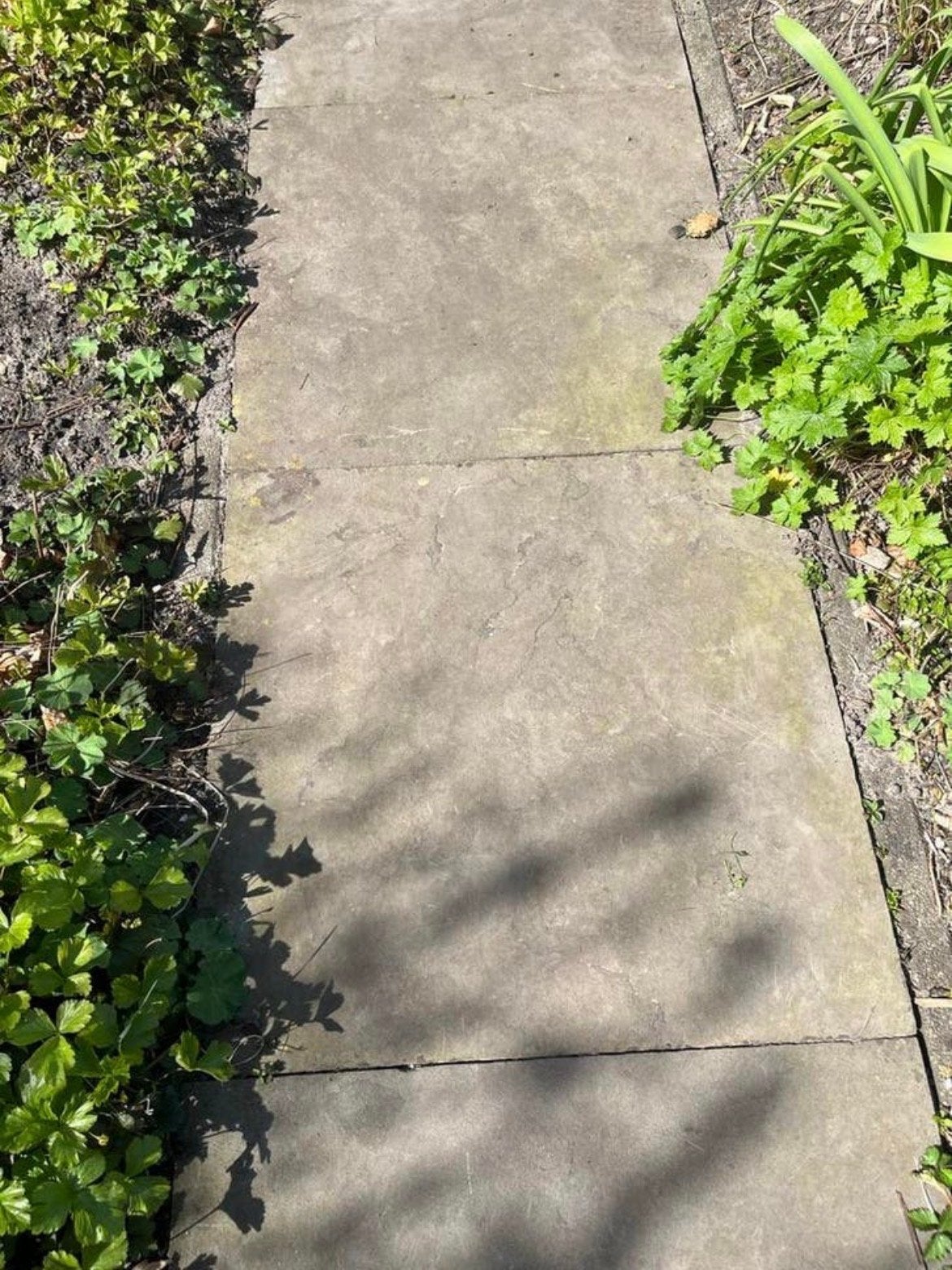 Betonnen terras-/tuintegels 60x60 cm, Ophalen, Gebruikt, Minder dan 5 m², Vloertegels