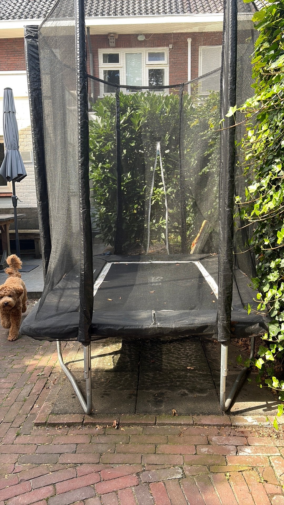 Salta trampoline, Kinderen en Baby's, Speelgoed | Buiten | Trampolines, Ophalen, Gebruikt