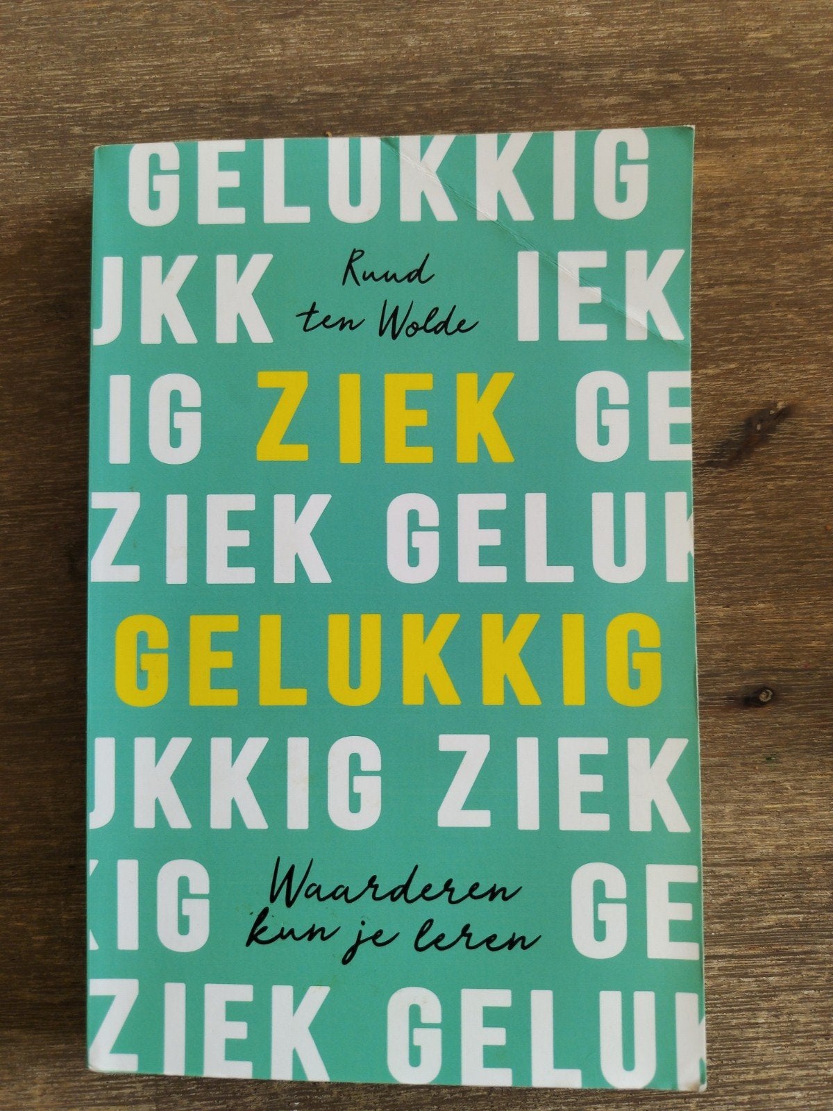 Ziek, en toch gelukkig - Ruud ten Wolde, Boeken, Ophalen of Verzenden, Zo goed als nieuw, Ruud ten Wolde, Overige