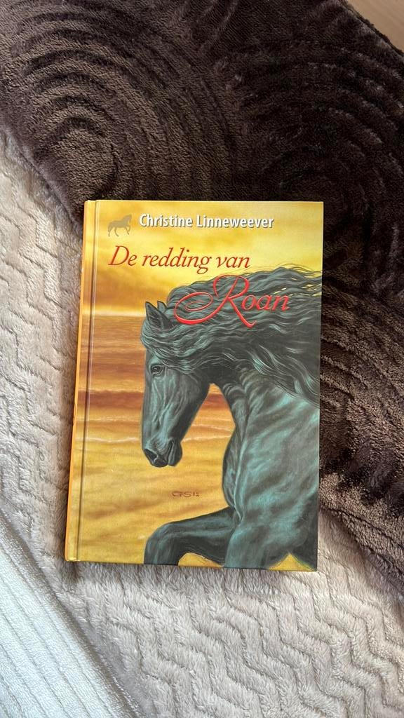De redding van Roan, Boeken, Kinderboeken | Jeugd | 13 jaar en ouder, Zo goed als nieuw, Ophalen of Verzenden