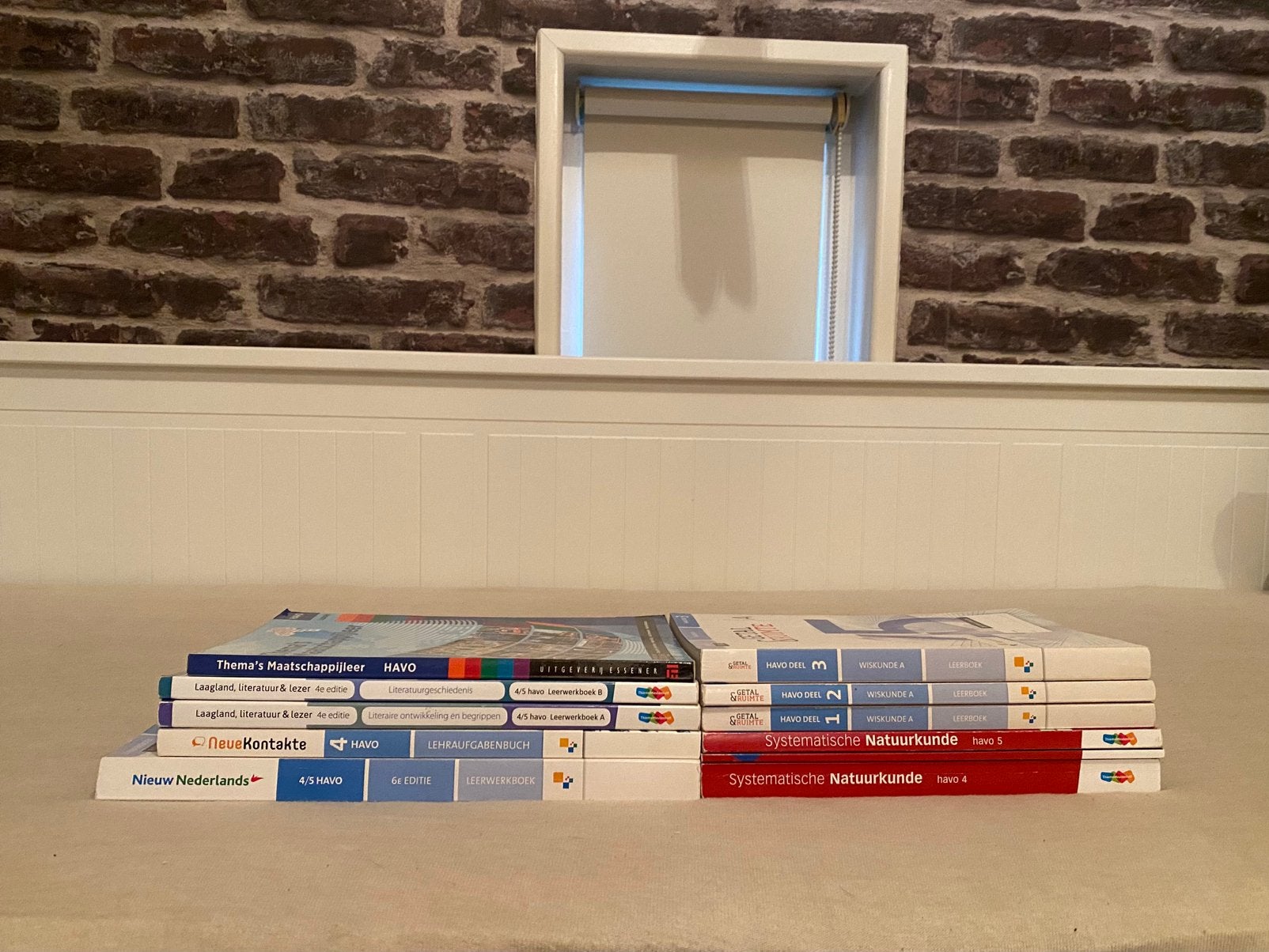 HAVO 4/5 diverse boeken, Ophalen, Gelezen, HAVO, Overige vakken