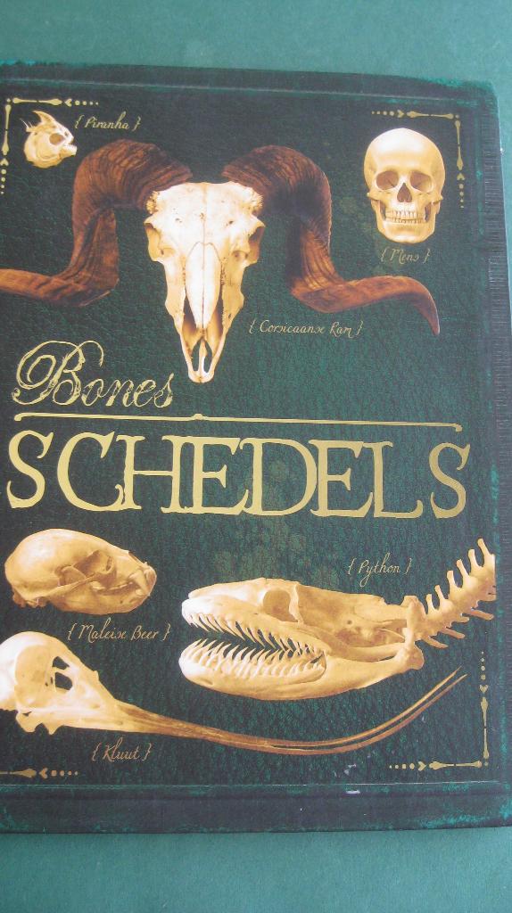 Bones - Schedels, Ophalen of Verzenden, Zo goed als nieuw, Natuur algemeen