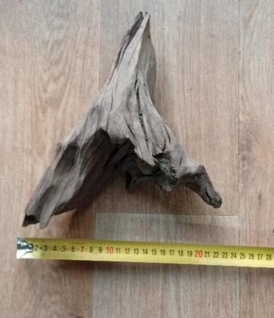 Kienhout, Ophalen, Nieuw, Plant(en), Steen of Hout