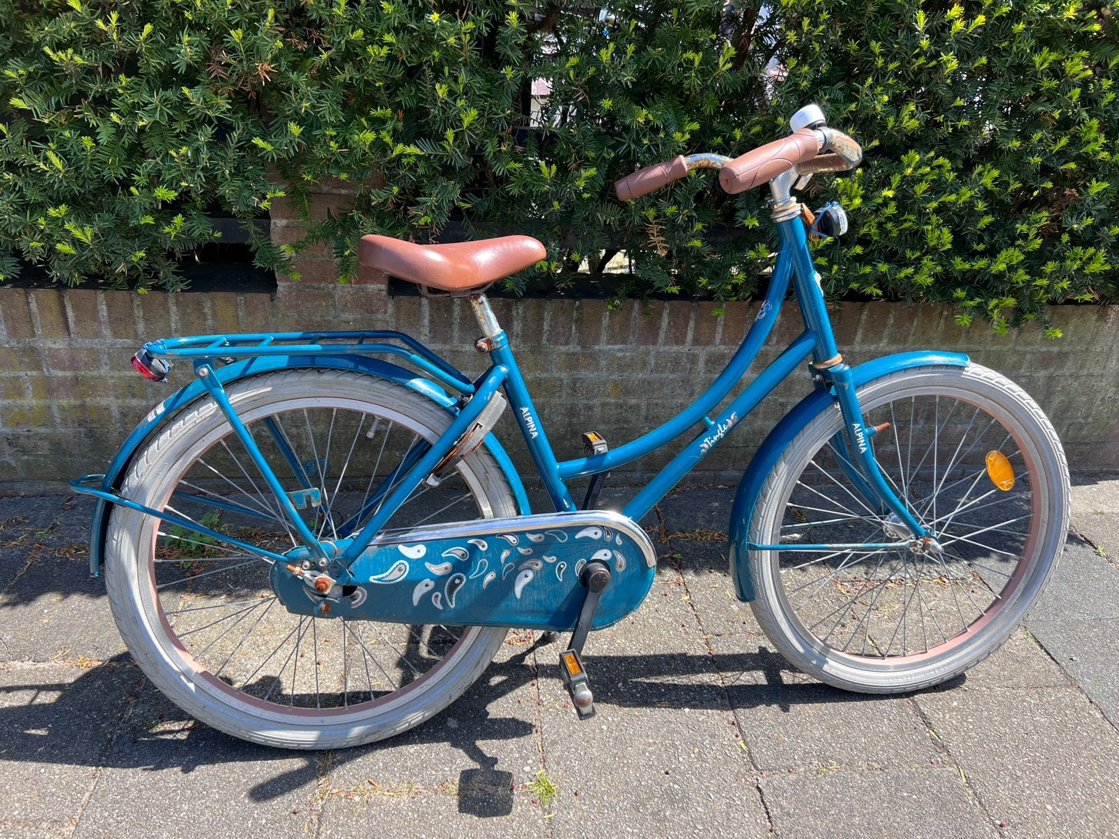 Alpina Tingle meisjesfiets 22 Inch, Fietsen en Brommers, Fietsen | Meisjes, Ophalen, Zo goed als nieuw, 22 inch