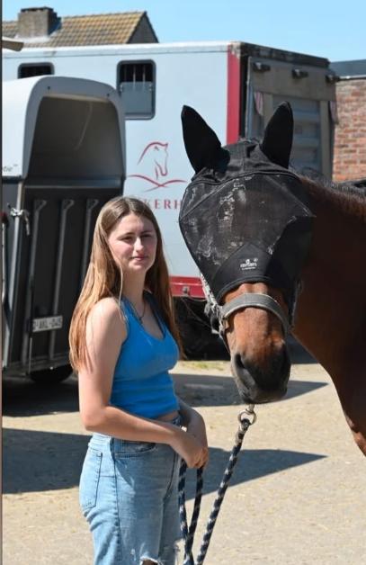 Leasepaard gezocht, Dieren en Toebehoren, Ophalen of Verzenden, Nieuw, Recreatie