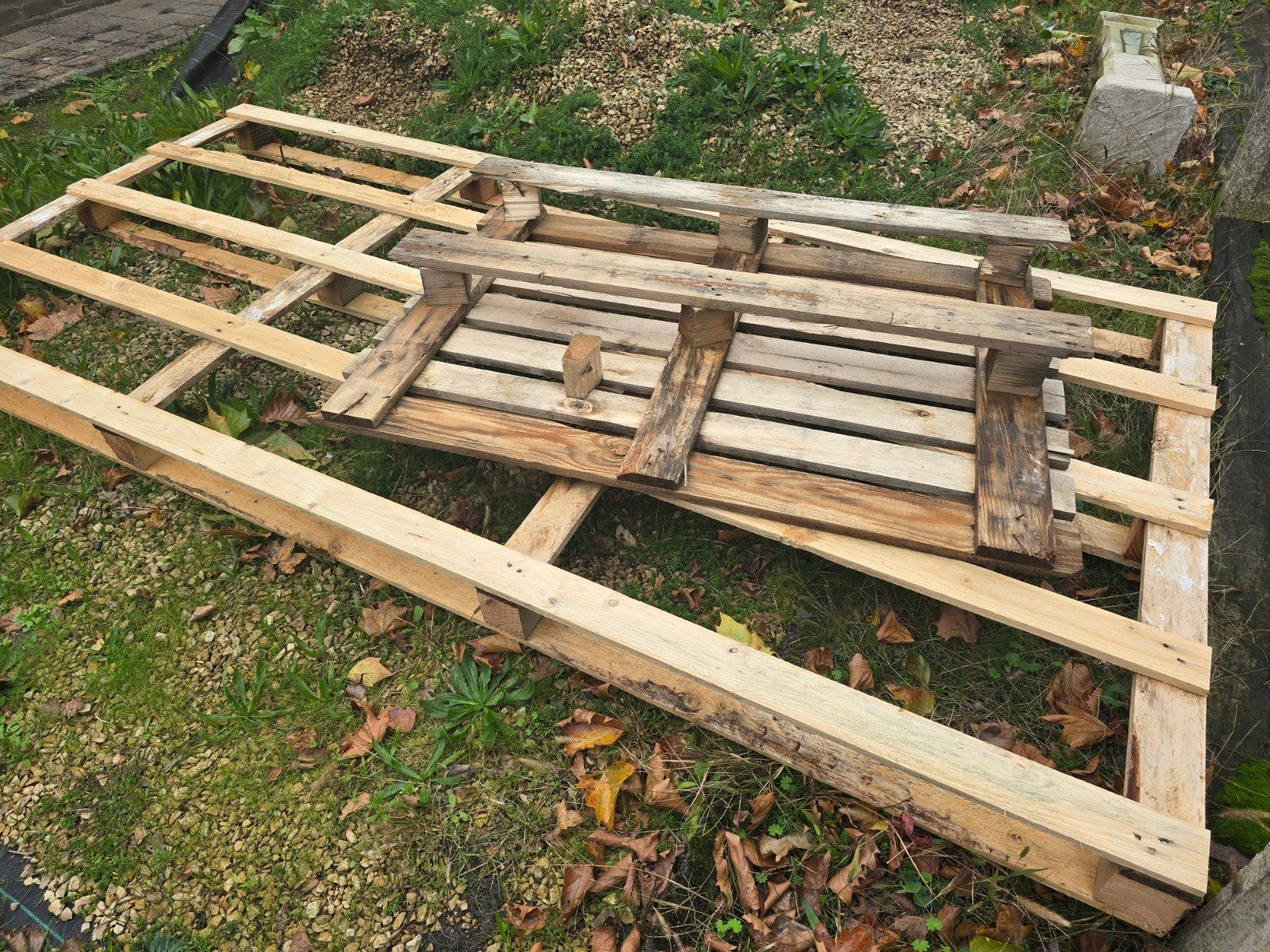 Gratis houten pallets, Ophalen, Overige houtsoorten, 200 tot 250 cm, Pallet