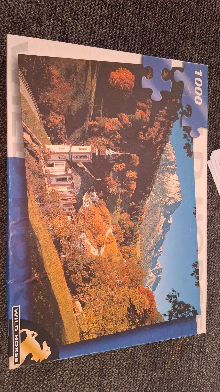 Puzzel 1000 stukjes - Wild Horse, Hobby en Vrije tijd, Denksport en Puzzels, Ophalen of Verzenden, 500 t/m 1500 stukjes, Gebruikt