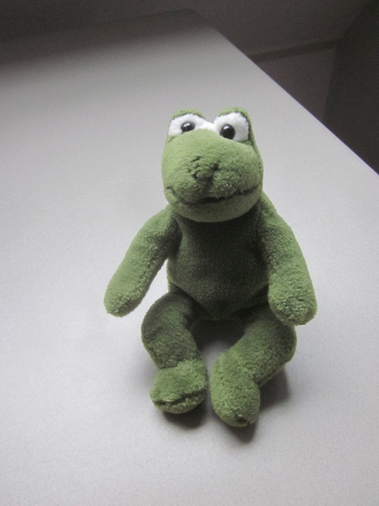 Donkergroen zacht pluche kikker knuffel kunststof ogen, Kinderen en Baby's, Kikker, Groen, Overige merken, Overige karakters