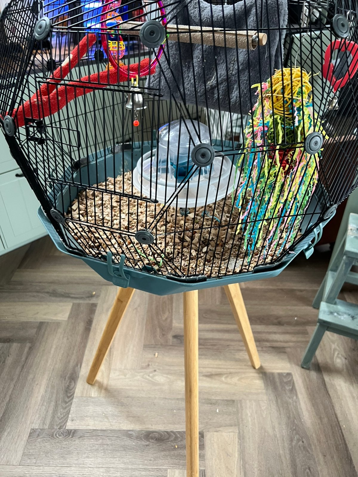 Omlet vogelkooi, Ophalen of Verzenden, Zo goed als nieuw, Metaal, Vogelkooi