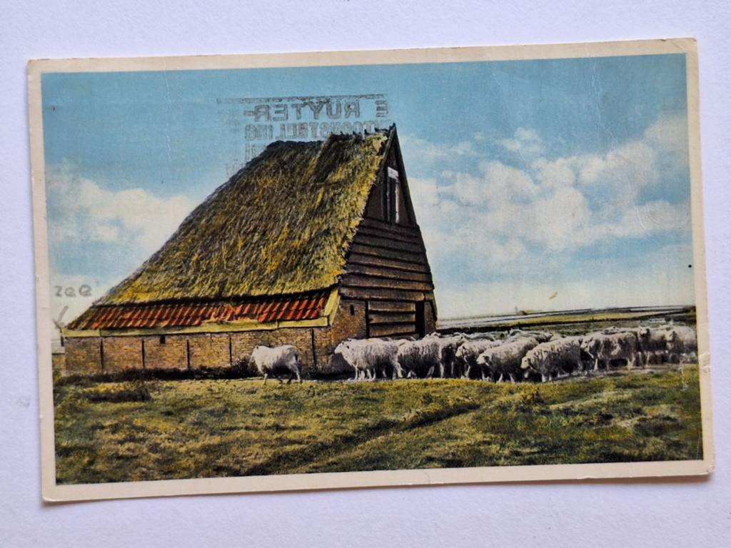 Texel, Ophalen of Verzenden, Waddeneilanden