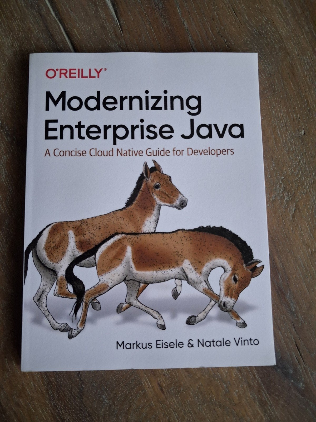Modernizing Enterprise Java - O'Reilly, Ophalen of Verzenden, Zo goed als nieuw, Programmeertaal of Theorie, Markus Eisele & Natale Vinto