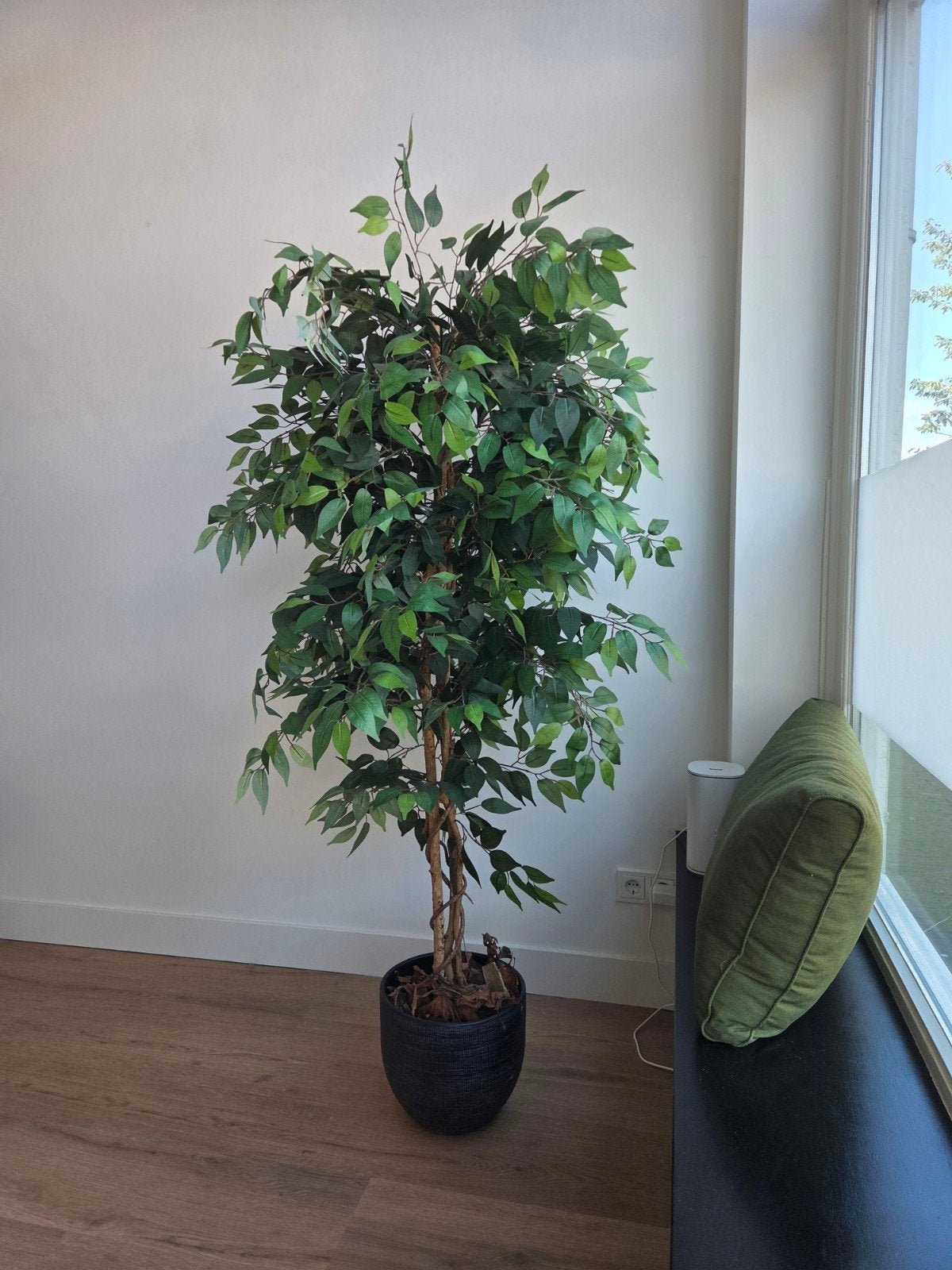 Grote kunstplant, Ficus 1.80 m , , met pot bieden vanaf 40 e, Ophalen, Binnen, Groen, Met pot of vaas