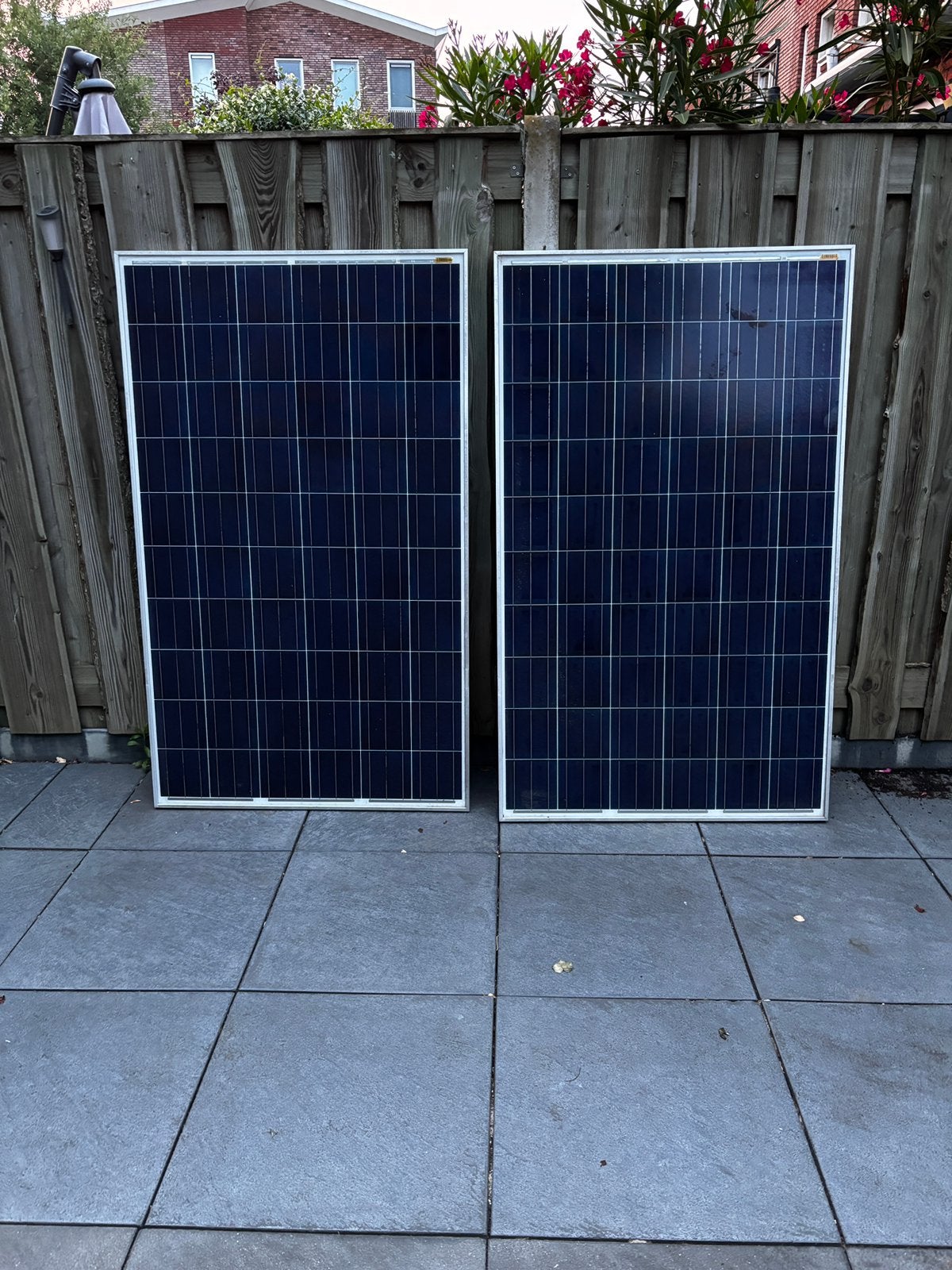Astronergy 245 Wp zonnepanelen, Ophalen, Gebruikt, 200 wattpiek of meer, Paneel