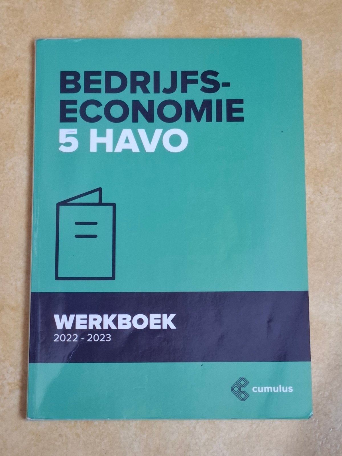 Bedrijfseconomie 5 HAVO Werkboek 2022-2023, Boeken, Ophalen of Verzenden, HAVO, Bedrijfseconomie of M&O