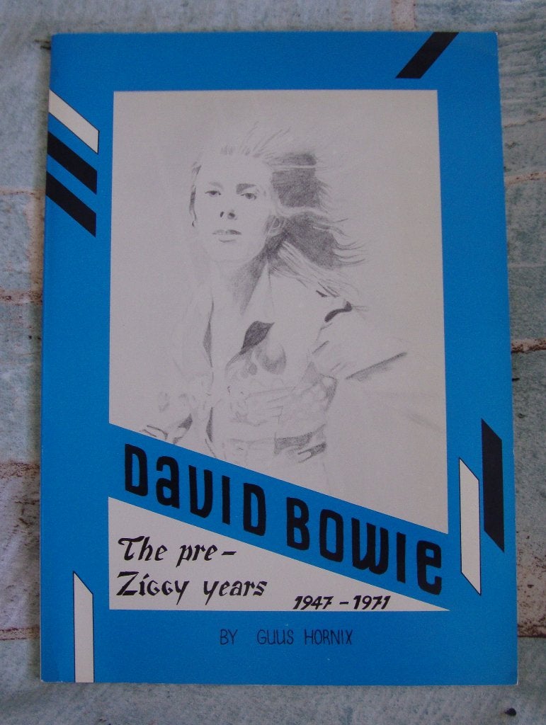 David Bowie The pre-Ziggy Years 1947-1971, Ophalen of Verzenden, Gelezen, Artiest