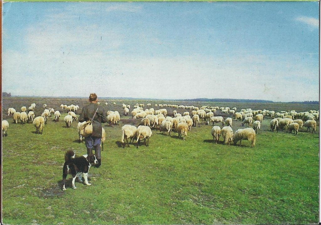 K109 Gelopen groeten uit Drenthe, Ophalen of Verzenden, 1980 tot heden, Gelopen, Drenthe