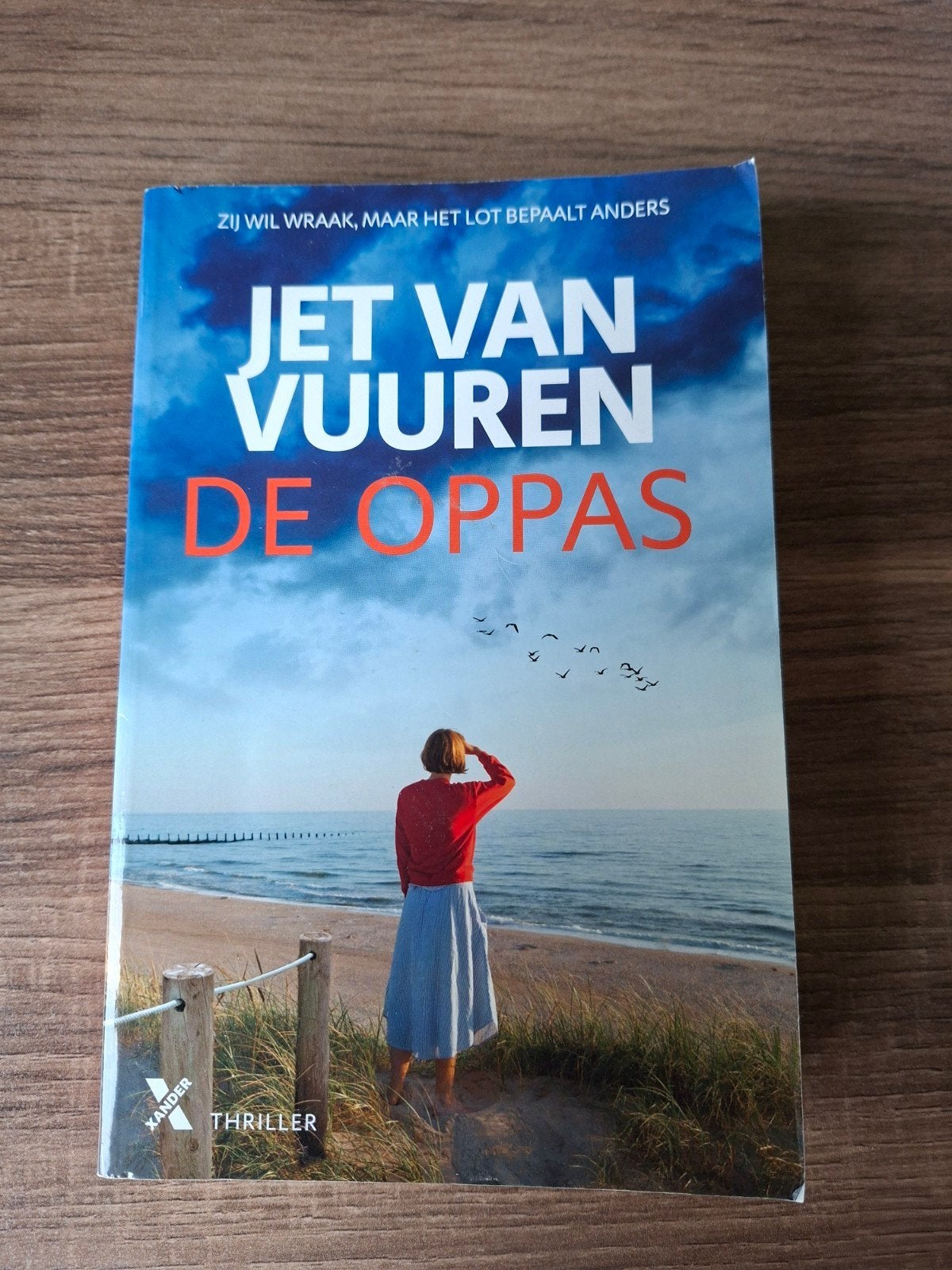 Jet van Vuuren De oppas, Ophalen of Verzenden, Zo goed als nieuw