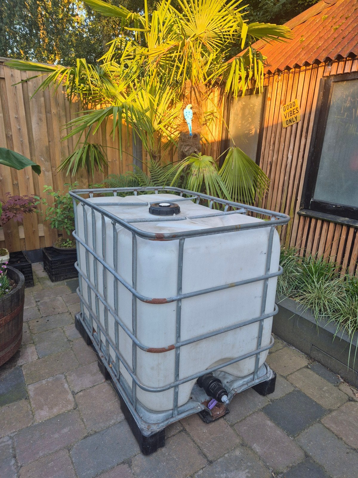 Ibc tank 600 liter plus pomp, Tuin en Terras, Regentonnen, 150 liter of meer, Ophalen