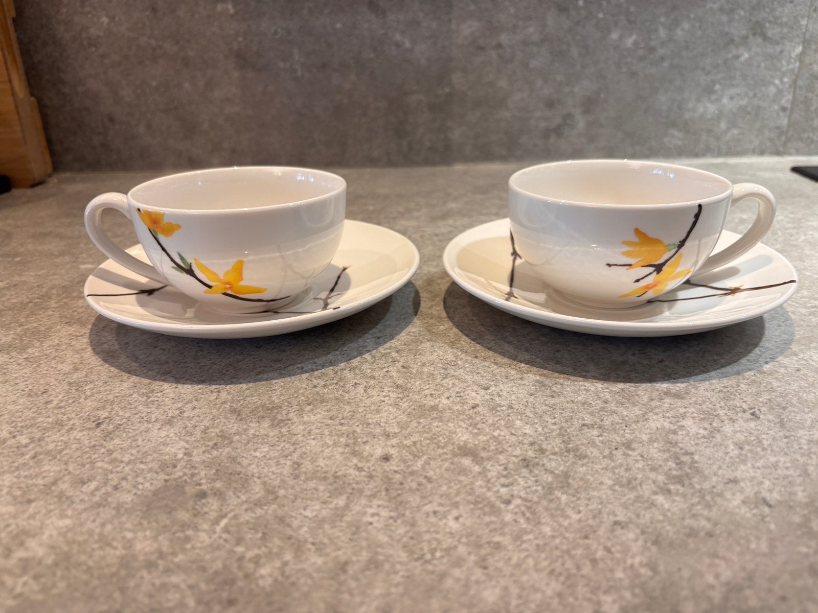Wedgwood servies, The Painted Garden. Theekoppen en schotels, Ophalen, Zo goed als nieuw, Modern, Kop(pen) en/of Schotel(s)