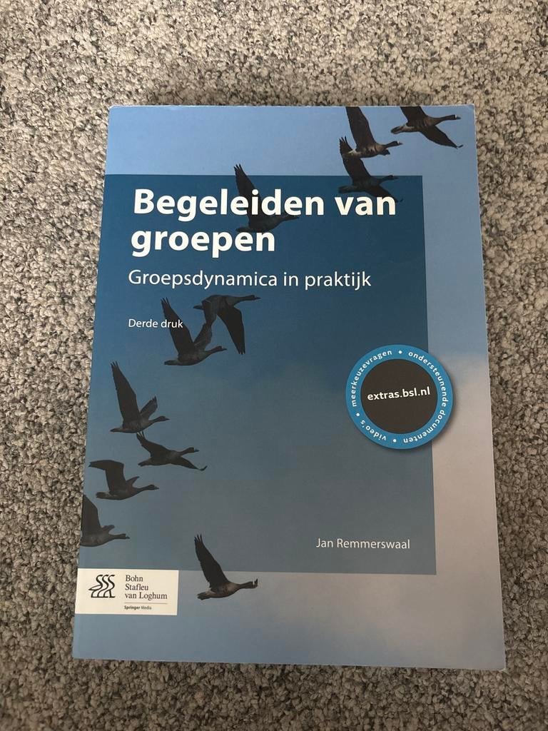 Begeleiden van groepen: Groepsdynamica in praktijk, Ophalen of Verzenden, Gamma, Zo goed als nieuw, HBO